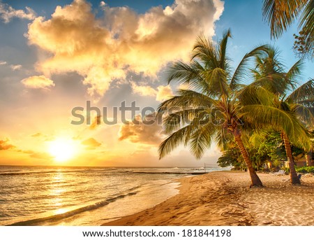 Beautiful sunset over the sea with a view at palms on the white beach on a Caribbean island of Barbados
