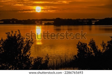 Beautiful sunset over the swamp in Louisiana, the reflection of clouds in the water, USA 