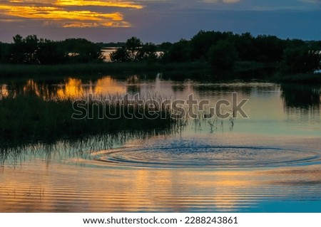 Beautiful sunset over the swamp in Louisiana, the reflection of clouds in the water, USA 