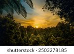 Beautiful sunset over tropical forest