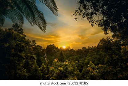 Beautiful sunset over tropical forest - Powered by Shutterstock