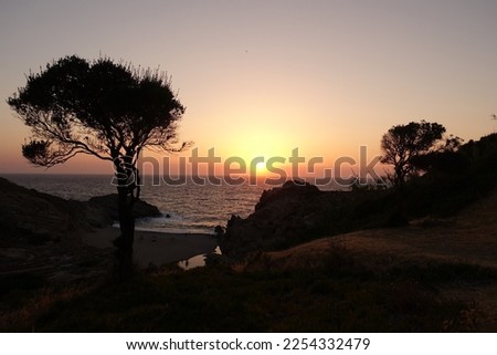 Beautiful sunset over tropical island wavy beach with beautiful golden colours
