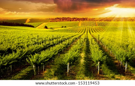 Similar – Image, Stock Photo Sunset glow over South coast Gombela seascape