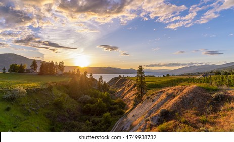 A Beautiful Sunset Over The Vineyards Of The Okanagan Wine Valleys And Okanagan Lake