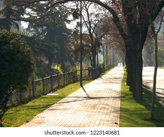 Beautiful sunset path