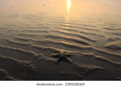 Beautiful sunset photography at Janjira beach, Alibaug, Mumbai. Captured reflection of sun on the sea water during sunset. Clicked this nature photography using DSLR camera Canon 200D Mark 2  - Powered by Shutterstock