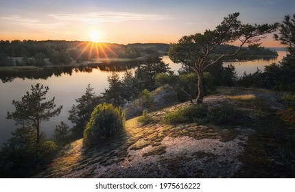 Beautiful Sunset Rays Of Sun With Clean Nordic Nature, Pine Tree On Rocks In North Europe, Baltic Sea, Gulf Of Finland