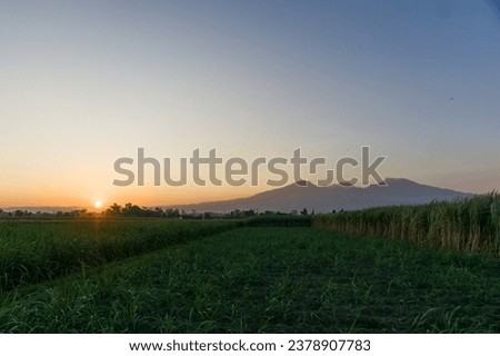A beautiful sunset set against the backdrop of Mount Wilis or some call it Mount Liman, towering in the west of Tulungagung Regency and Kediri Regency.