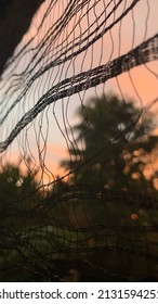 Beautiful Sunset In The Sky With A Nature Forest Tress