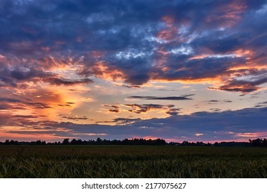 Beautiful sunset sky. Picturesque summer nature. Countryside. Clouds are highlighted by setting sun.