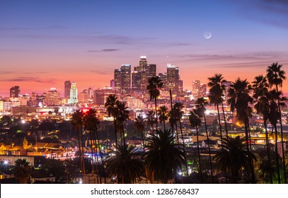 Beautiful sunset through the palm trees, Los Angeles, California. - Shutterstock ID 1286768437