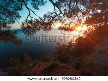 Beautiful sunset through tree silhouette