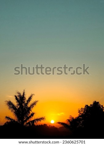 beautiful sunset with tree sihouette