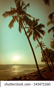 Beautiful Sunset At Tropical Beach With Palm Trees. Ocean Landscape In Vintage Style. India