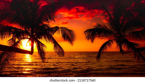 Beautiful Sunset Tropical Beach Palm Tree Stock Photo (Edit Now) 1716193708