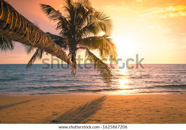 sunrise on the beach with palm trees