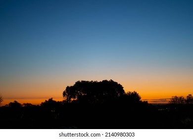 Beautiful Sunset View At Caulfield Racecourse