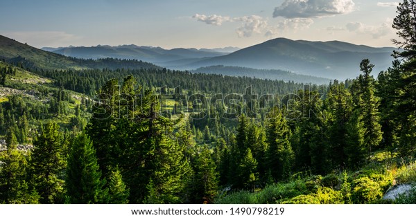 サヤン山脈前の杉林の美しい夕日の眺め エルガキ国立公園 クラスノヤルスク地方 シベリア ロシア の写真素材 今すぐ編集