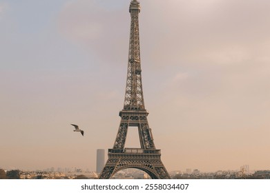 A beautiful sunset view of the Eiffel Tower, with the warm glow of the setting sun casting golden hues over the iconic Paris landmark