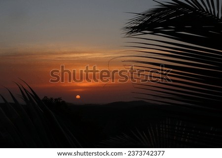 beautiful sunset view with palmtop 