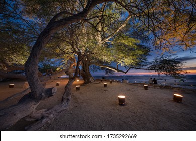 Beautiful Sunset View From Tree Of Life, Bahrain. The Tree Of Life In Bahrain Is A 9.75 Meters High Prosopis Cineraria Tree That Is Over 400 Years Old - Long Exposure Image