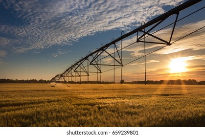 Beautiful sunset in wheat field with irrigation system watering crops. Golden hour in rural landscape - Shutterstock ID 659239801
