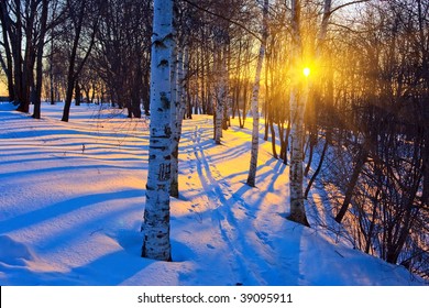 Beautiful Sunset Winter Park Stock Photo 39095911 | Shutterstock