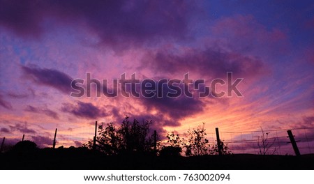 Beautiful Sunset/Sunrise Purple Red Golden Sky & Trees Silhouette Landscape, Nature of Scottish Highlands, United Kingdom