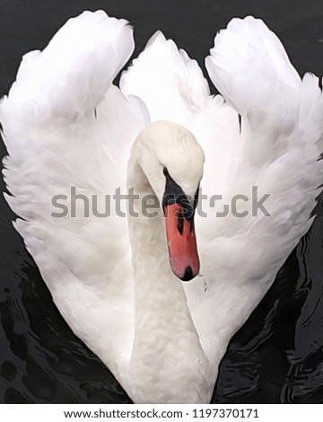 Similar – Image, Stock Photo Swan over!