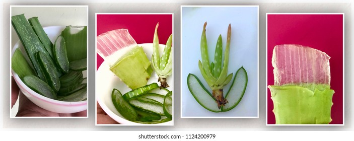 Leaf Health Logo Stock Photos Images Photography Shutterstock