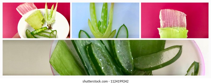Leaf Health Logo Stock Photos Images Photography Shutterstock