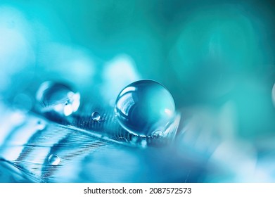 Beautiful symbolic macro image of fragility and purity nature in form of perfect round water droplets on feather in blue colors.