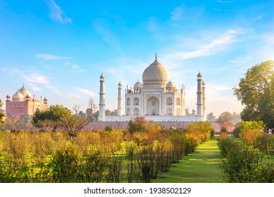 Beautiful Taj Mahal by the garden, famous place of visit, Agra, India