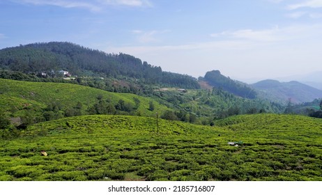 2,654 Nilgiri hills Images, Stock Photos & Vectors | Shutterstock