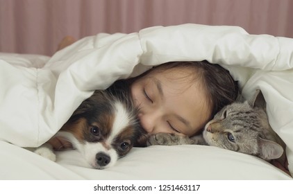 Beautiful teen girl sleeping sweetly in a bed with dog and cat