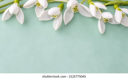 Beautiful Template For Greeting Card, Space For Text. Snowdrops On The Top Of The Page, Blurry Green Background. First Forest Flowers, Under The Snow. Hello Spring, March 8, Women's Day