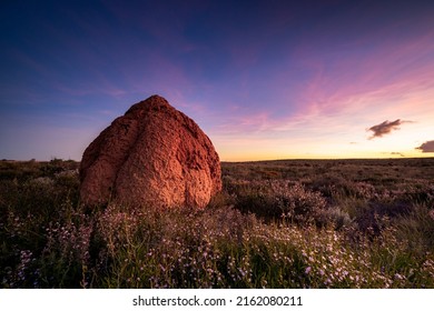 A beautiful Termite and sunset in Exmouth, Western Australia