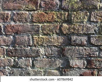A beautiful texture bricks wall house by the walkway.