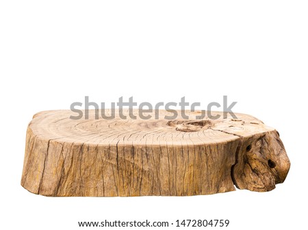 Beautiful texture of old tree stump table top on white background.For create product display or design key visual layout.clipping path