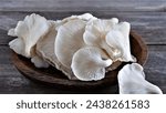 Beautiful texture and pattern on underside gills of farmed white oyster mushroom. Delicious and Nutrition Edible Organic Mushrooms  for vegetarian and healthy lifestyle people. Lung Oyster Mushrooms.