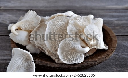 Beautiful texture and pattern on underside gills of farmed white oyster mushroom. Delicious and Nutrition Edible Organic Mushrooms  for vegetarian and healthy lifestyle people. Lung Oyster Mushrooms.