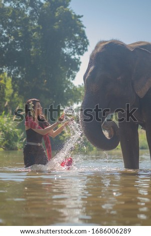 Beautiful thai women wearing traditional thai clothes standing on an elephant in nature park thailand, woman concept
