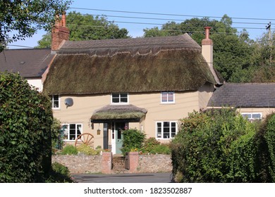 Beautiful Thatched Cottage In A Devon Village