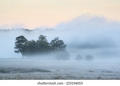 Beautiful Thick Fog Sunrise Autumn Fall Landscape Over Fields With Treetops Visible Through Fog