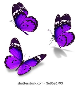 Three Purple Butterfly Isolated On White Stock Photo (Edit Now) 276006059