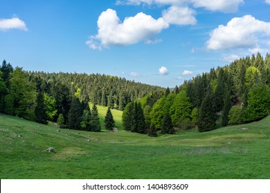 Beautiful Thuringian Forest In Germany