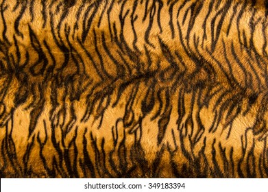 Beautiful Tiger Fur Pattern Texture Background.