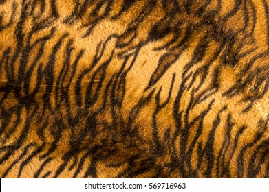 Beautiful Tiger Fur Pattern Texture Background.