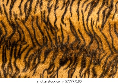 Beautiful Tiger Fur Pattern Texture Background.