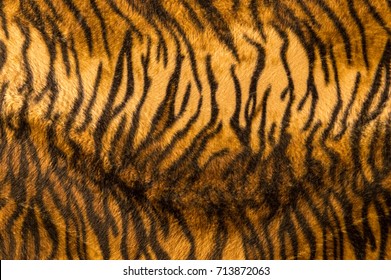 Beautiful Tiger Fur Pattern Texture Background.